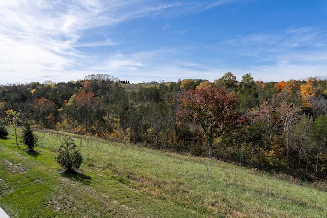 view of local wilderness