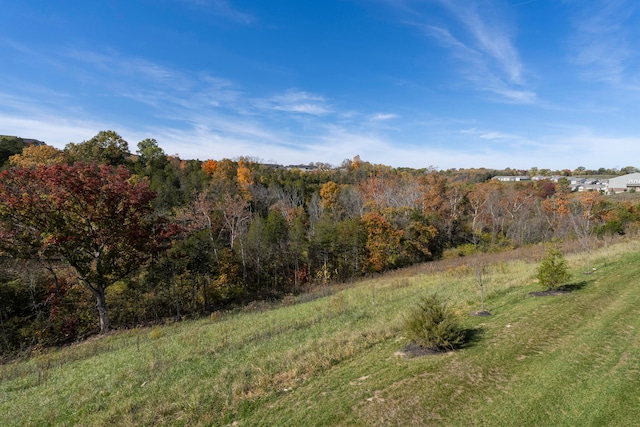 view of local wilderness