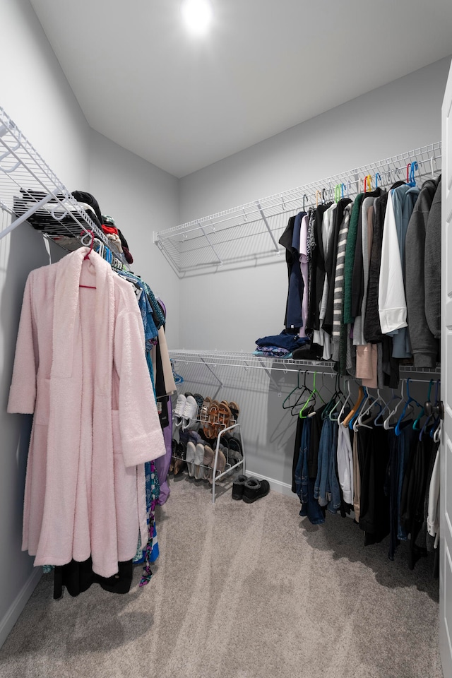 walk in closet with carpet