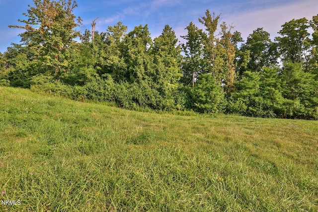 2421 Felice Dr, Villa Hills KY, 41017 land for sale