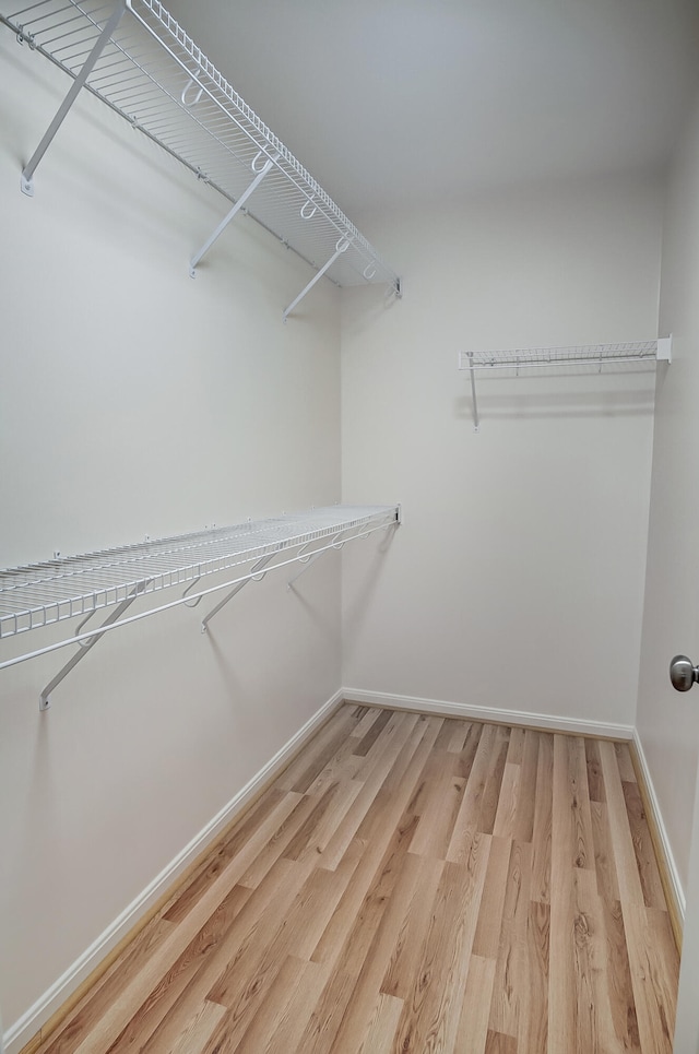 spacious closet with hardwood / wood-style floors