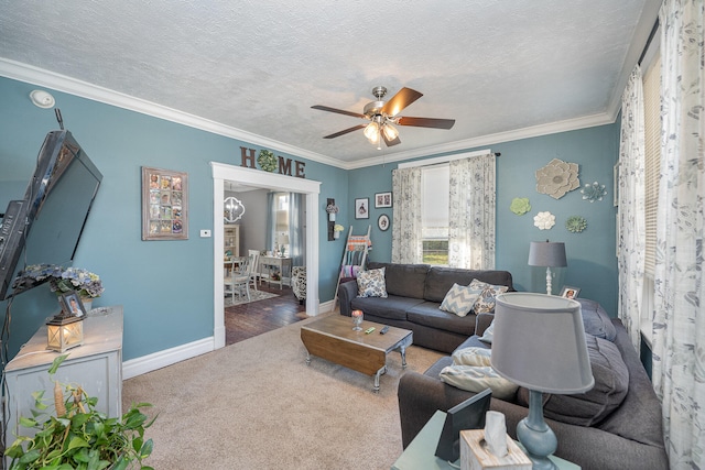 living room with crown molding, a textured ceiling, wood-type flooring, and ceiling fan