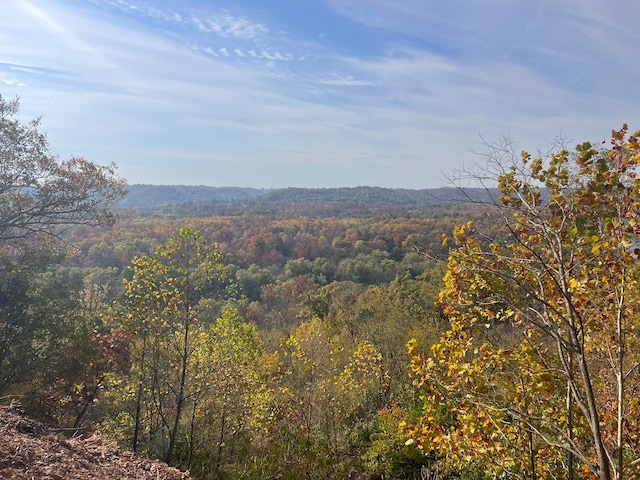 view of mountain feature