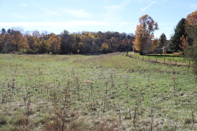 view of yard featuring a rural view