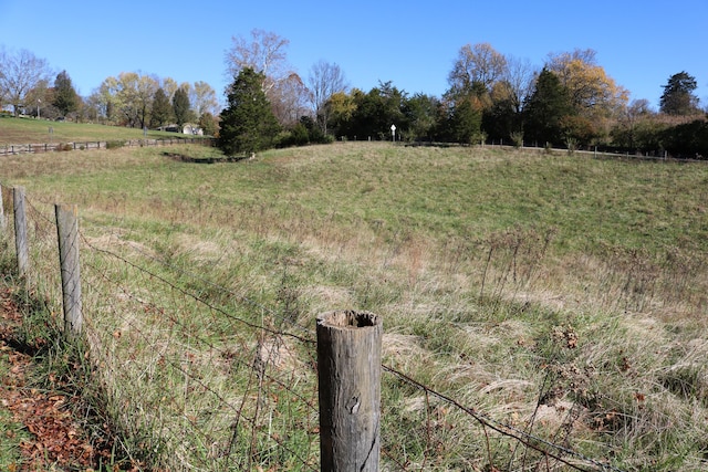 view of yard featuring a rural view