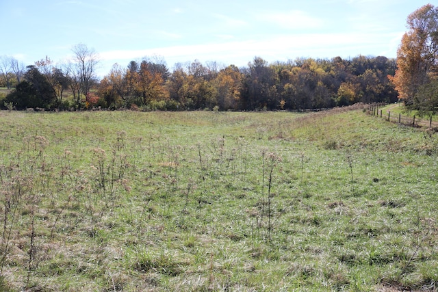 view of local wilderness featuring a rural view