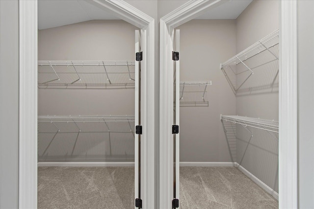 spacious closet featuring light carpet