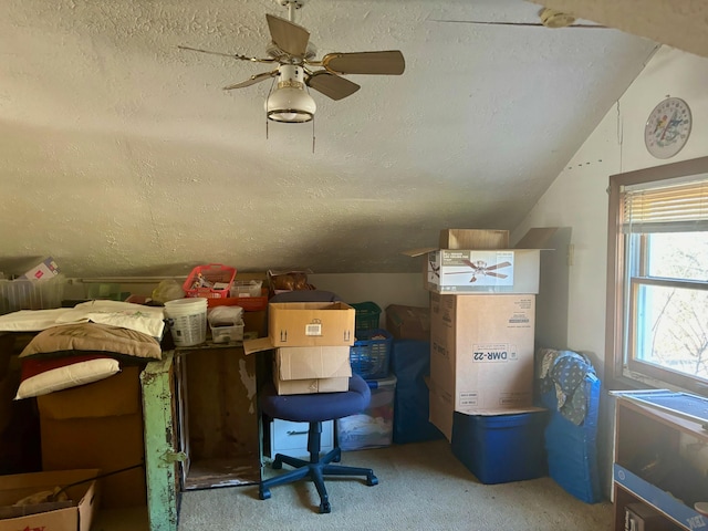 storage featuring ceiling fan