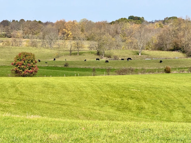 view of yard with a rural view