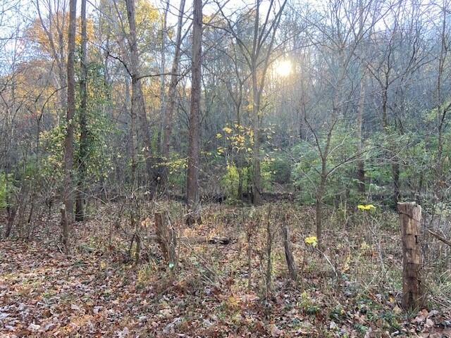 32 Old Carntown Rd, Foster KY, 41043 land for sale