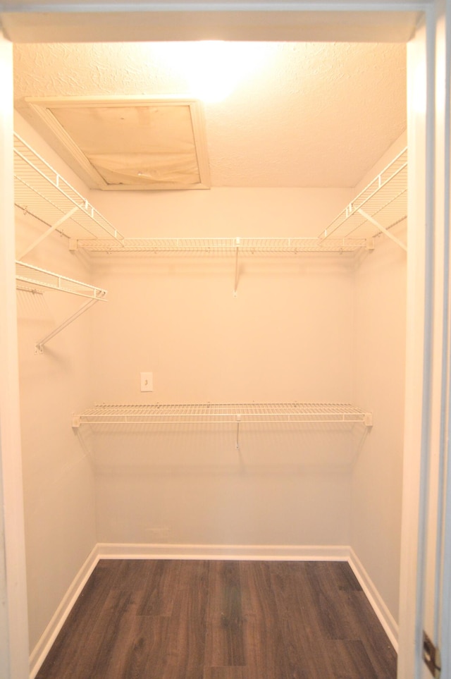 walk in closet with dark wood-type flooring