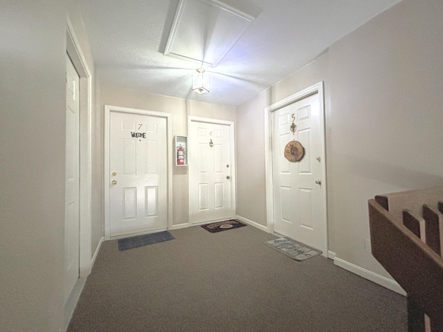 entryway featuring carpet flooring