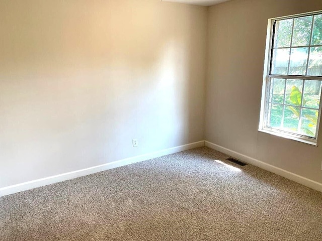 carpeted empty room with plenty of natural light