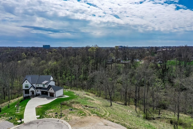 41 Floral Ave, Fort Mitchell, KY 41017 - photo 10
