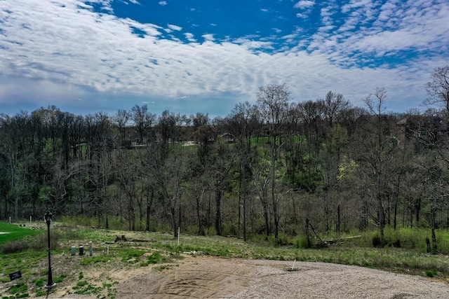 41 Floral Ave, Fort Mitchell, KY 41017 - photo 12