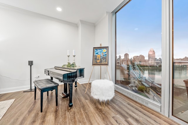 living area featuring light hardwood / wood-style floors, a healthy amount of sunlight, and crown molding