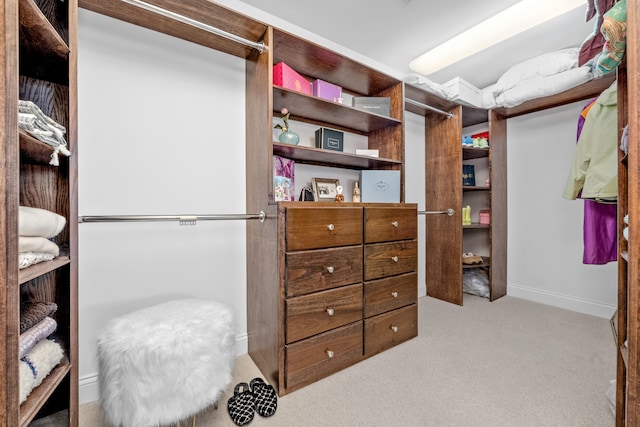 spacious closet featuring light colored carpet