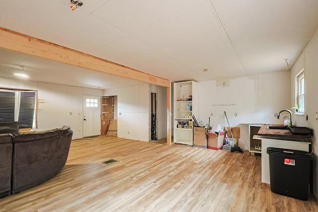 interior space featuring a wealth of natural light, light hardwood / wood-style flooring, and sink