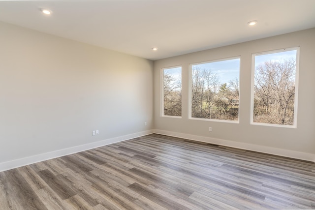 spare room with a wealth of natural light and light hardwood / wood-style floors