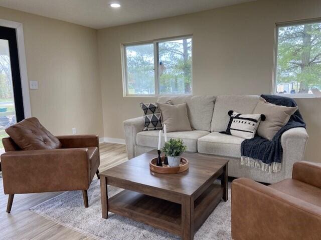 living room featuring light hardwood / wood-style floors and plenty of natural light