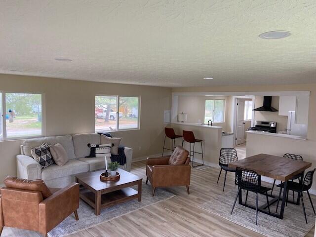 living room featuring a healthy amount of sunlight, light hardwood / wood-style floors, and a textured ceiling