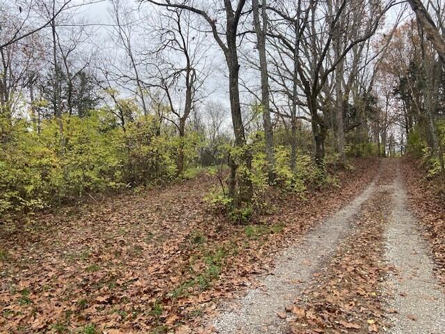 901 Galbraith Rd, Brooksville KY, 41004 land for sale