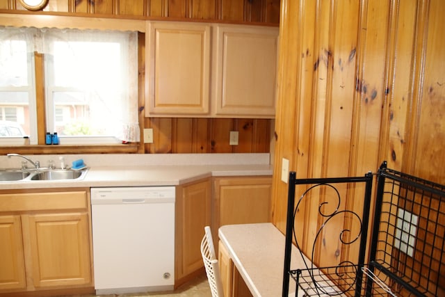 kitchen with dishwasher and sink