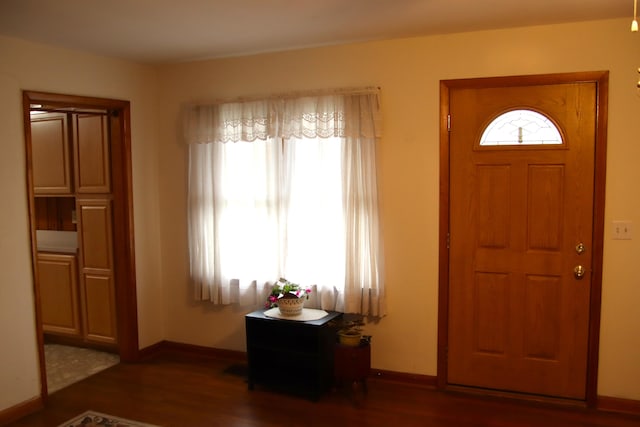 foyer featuring dark hardwood / wood-style floors