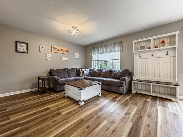 living room with wood-type flooring and a textured ceiling