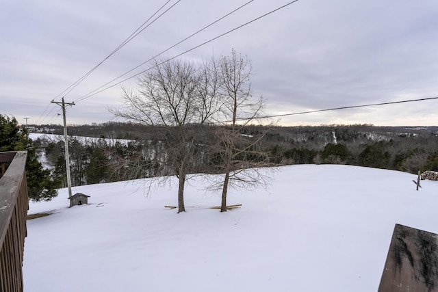 view of snowy yard