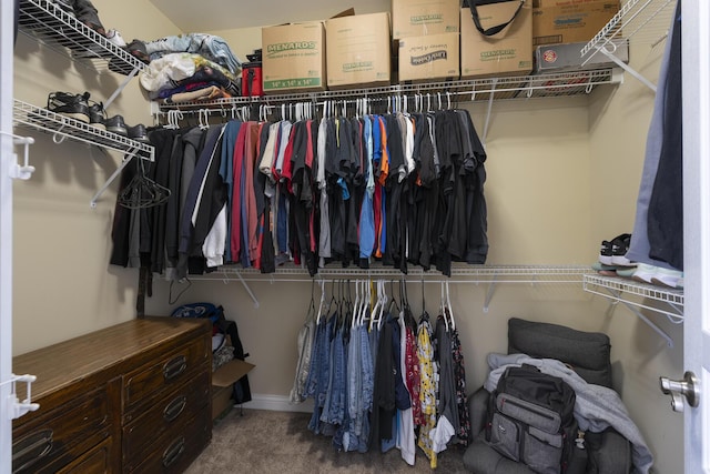 walk in closet with carpet flooring