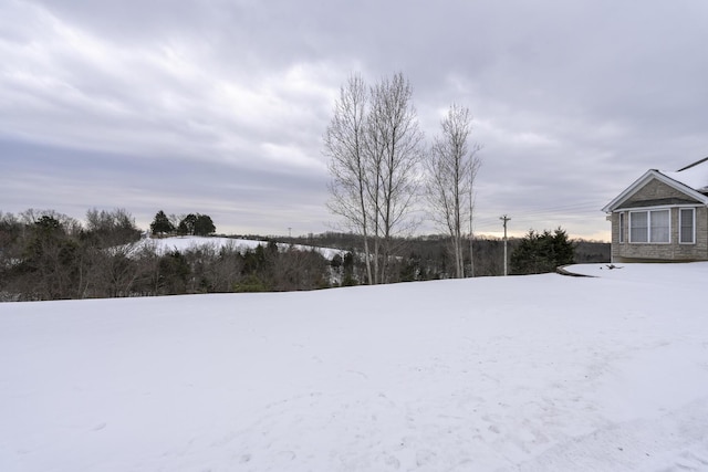 view of snowy yard