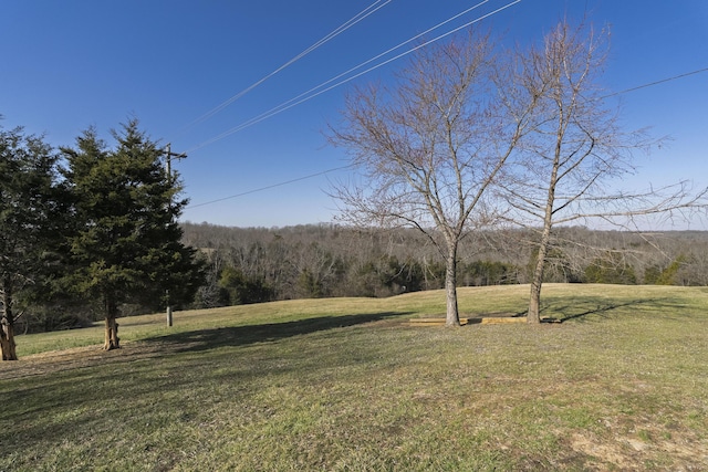 view of yard with a wooded view