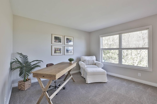 home office featuring carpet floors