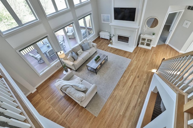 living room featuring hardwood / wood-style floors and a high ceiling