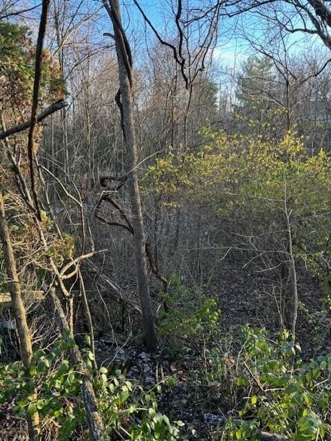 4370 Oliver Rd, Independence, KY 41051 - view of wooded area