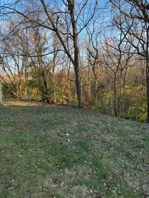 4370 Oliver Rd, Independence, KY 41051 - view of yard