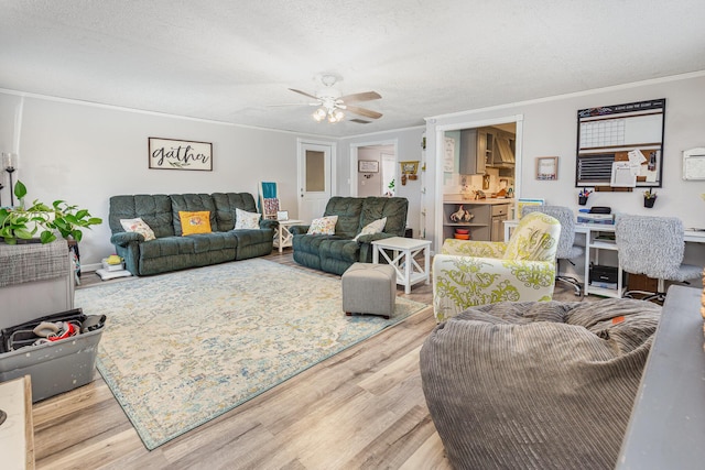 living area featuring a ceiling fan, crown molding, a textured ceiling, and light wood finished floors