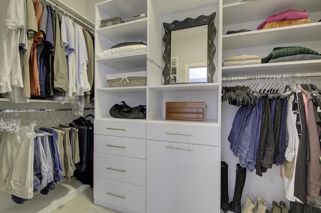 spacious closet with light colored carpet