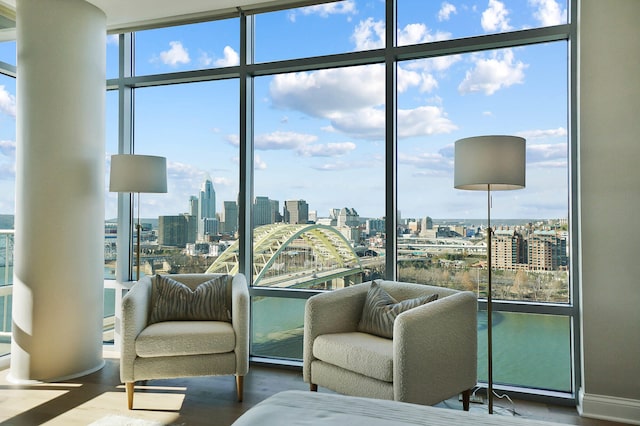 living room with floor to ceiling windows and hardwood / wood-style flooring