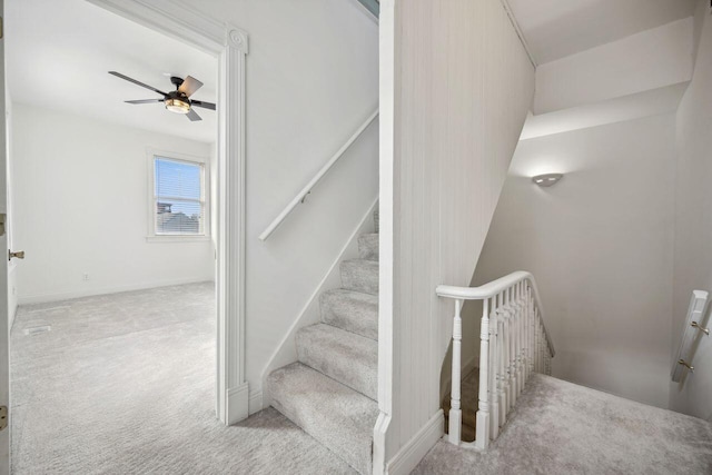 stairway featuring carpet and ceiling fan