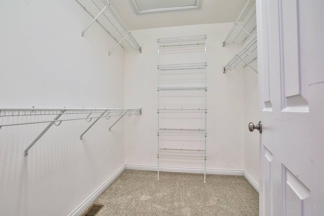 spacious closet featuring light carpet