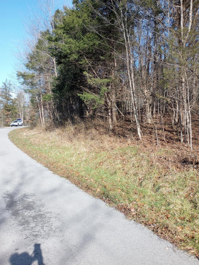 . Buckeye Hills Road, Falmouth, KY 41040