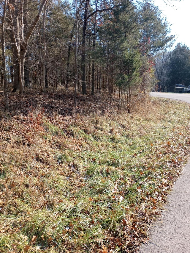 . Buckeye Hills Road, Falmouth, KY 41040
