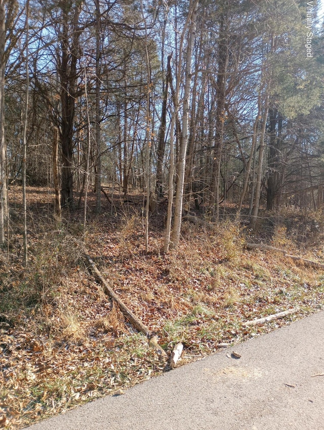 . Buckeye Hills Road, Falmouth, KY 41040