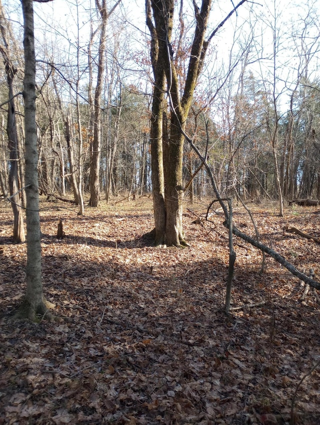 . Buckeye Hills Road, Falmouth, KY 41040