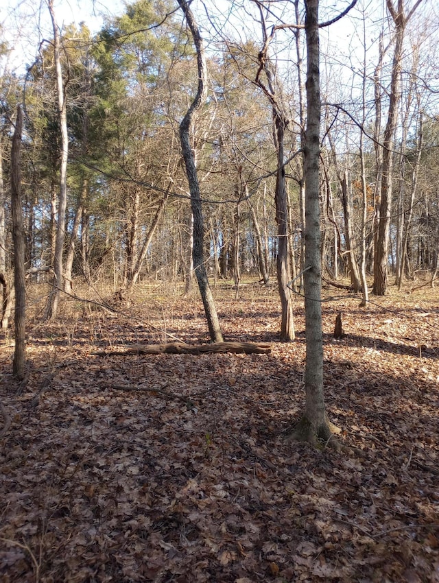 . Buckeye Hills Road, Falmouth, KY 41040