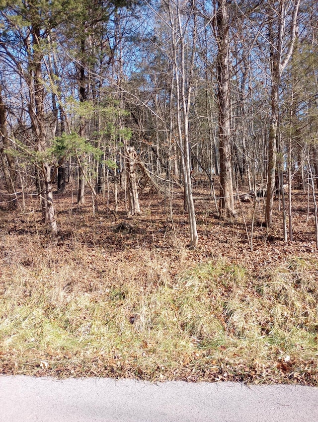 . Buckeye Hills Road, Falmouth, KY 41040