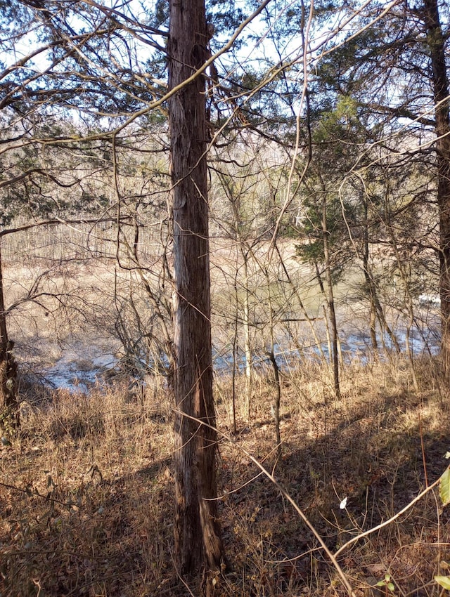 . Buckeye Hills Road, Falmouth, KY 41040