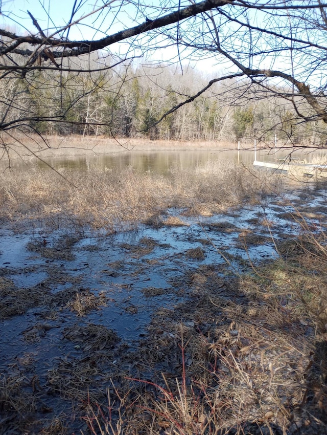 . Buckeye Hills Road, Falmouth, KY 41040